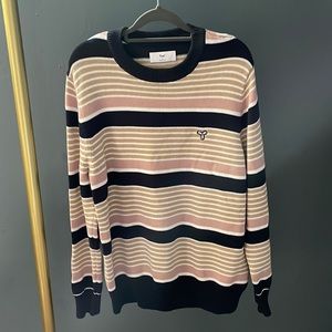 Tna (Aritzia) striped crew neck sweater.